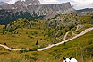 Kaninchen In Den Dolomiten Cortina