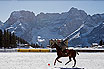 Winter-Polo-Cup In Cortina D'Ampezzo