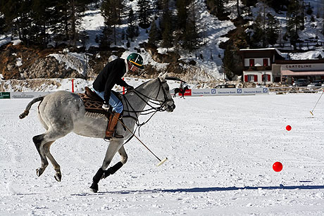 Cortina Winter Polo Player photo