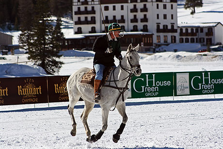 Polo in Cortina photo