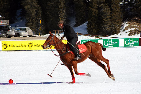 Polo player on the move Cortina photo