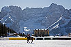 Cortina Polo In Winter