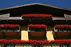 Flowers On Balconies Cortina