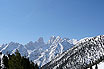 Forests Of Cortina In Winter