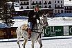 Polo à Cortina En Hiver